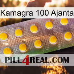 Kamagra 100 Ajanta new11